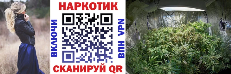 Купить наркотики Жуков ГАШИШ Кокаин МЕФ