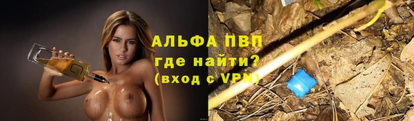 бошки Алексин
