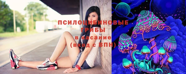 сатива Алексеевка