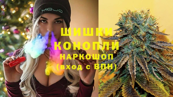 сатива Алексеевка